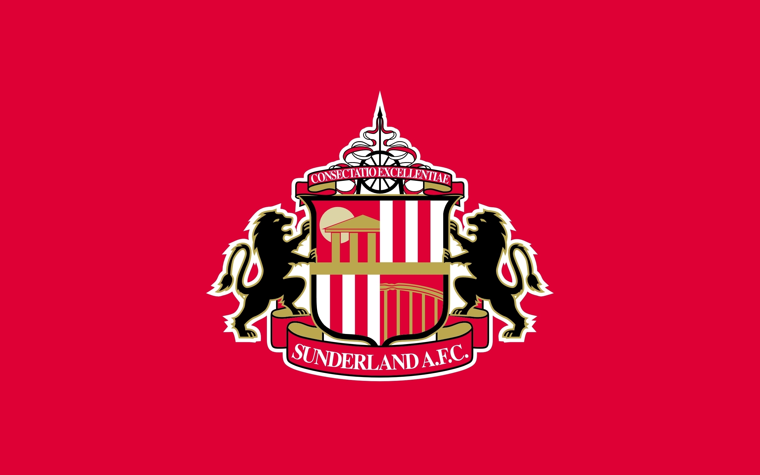 Sunderland AFC Primary logo t shirt iron on transfers